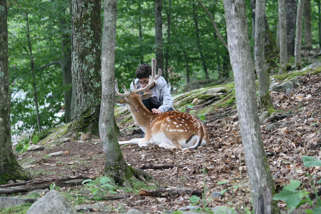 Parc Omega