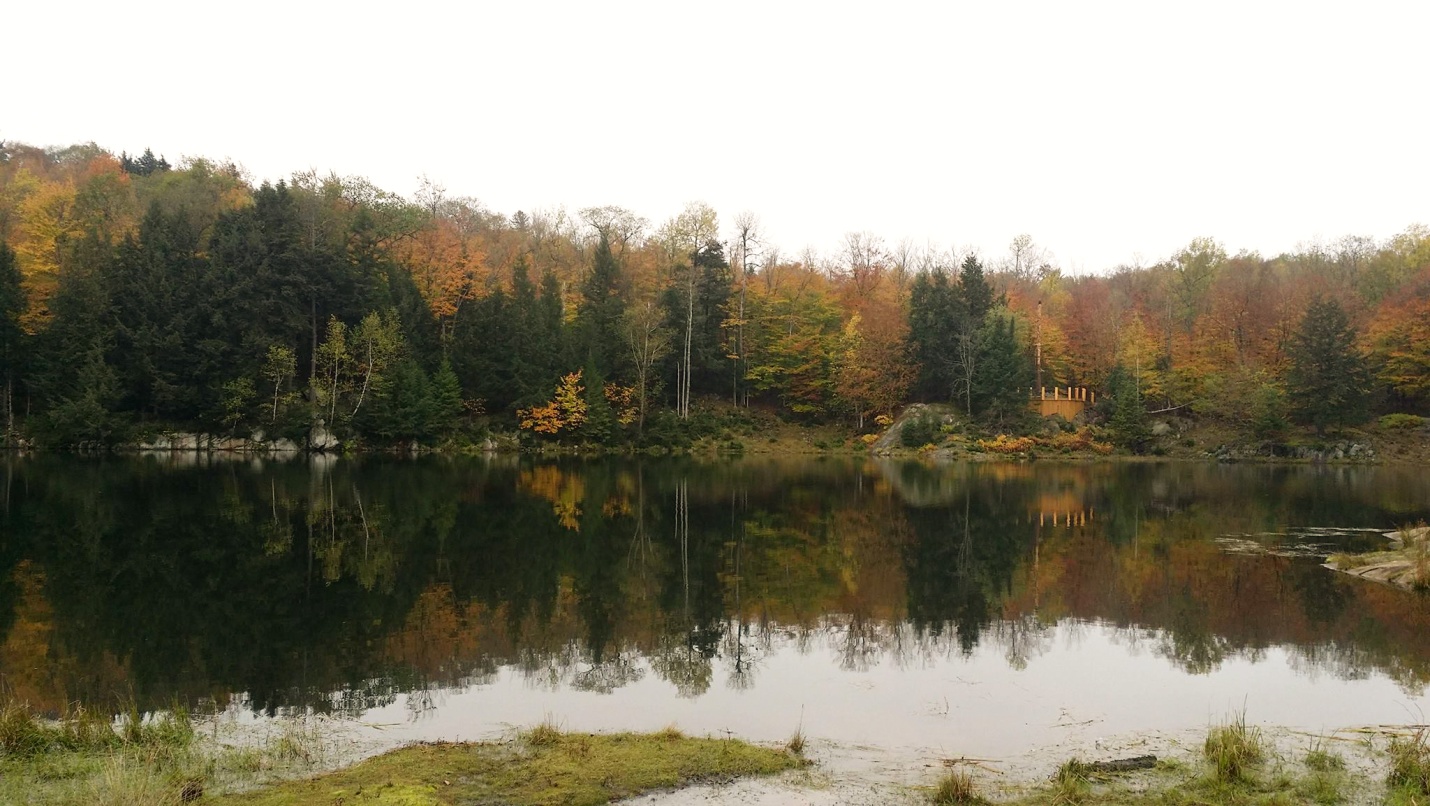 nature